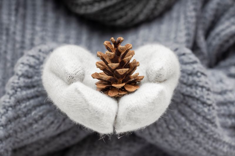 5 ricette invernali equilibrate